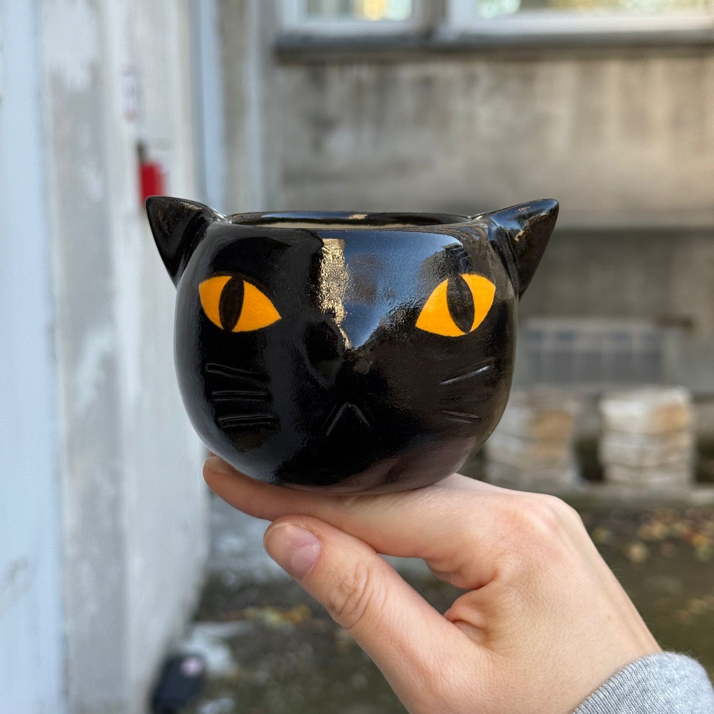 Czarka-kot / nietoperz o pomarańczowych oczach 270 ml