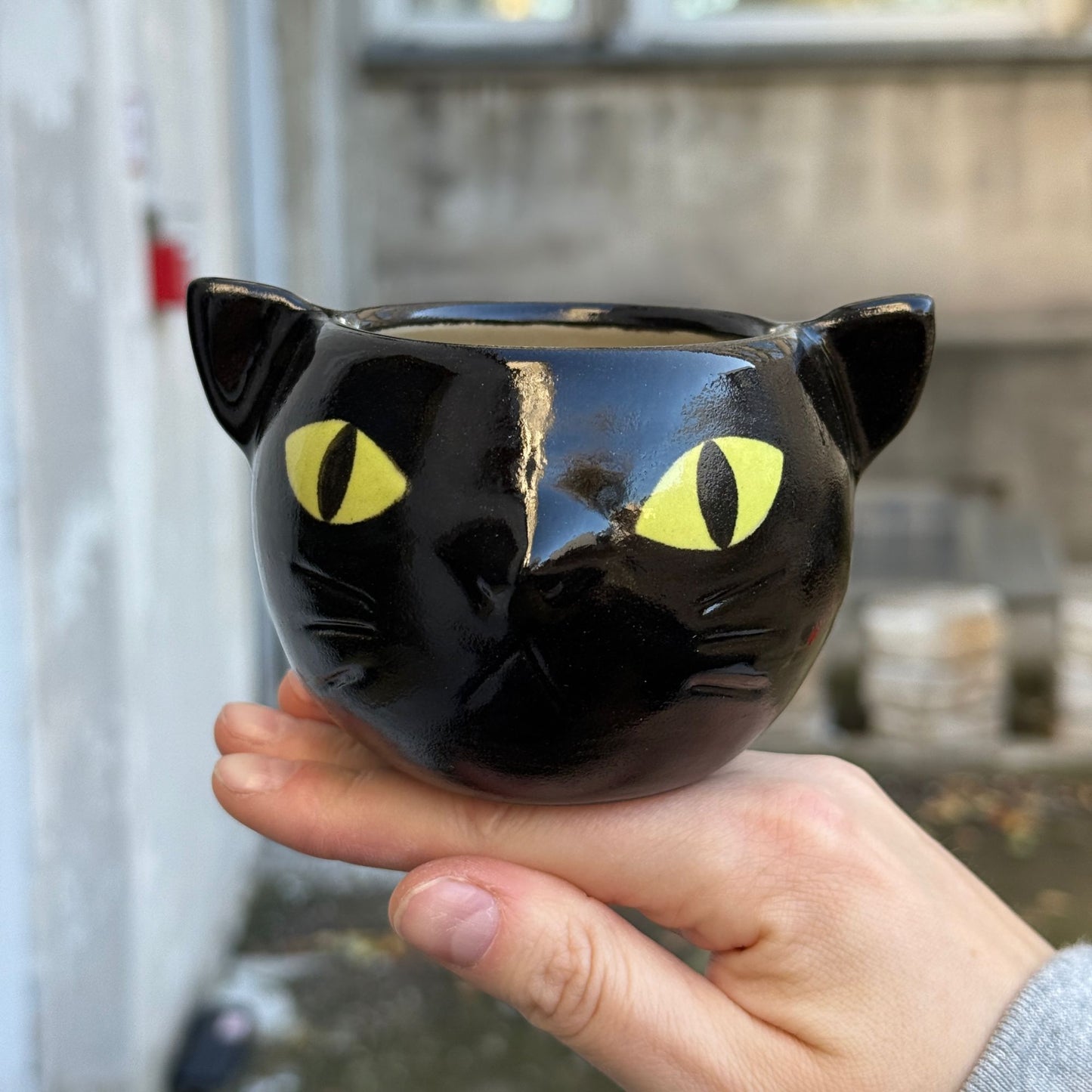 Czarka-kot / nietoperz o zielonych oczach 270 ml