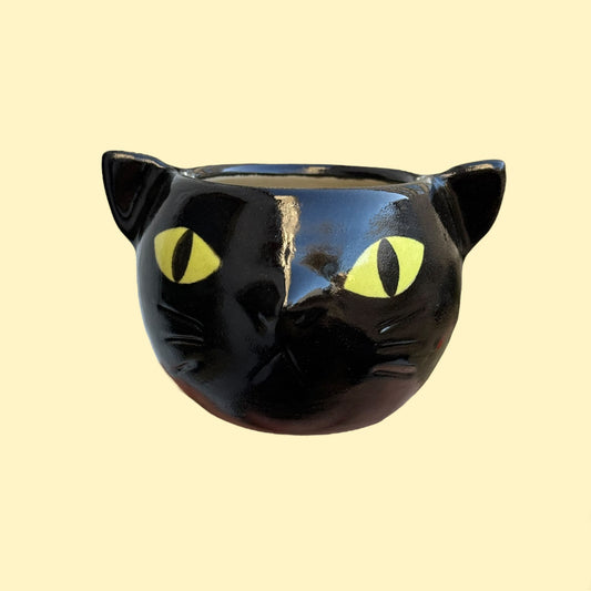 Czarka-kot / nietoperz o zielonych oczach 270 ml